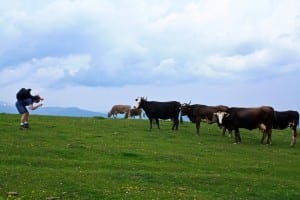_mg_7613-version-2