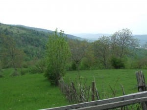 dscf9393