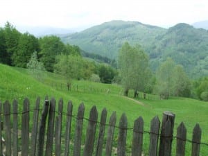 dscf9532