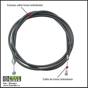 ce_este_camasa ce_este_camasa