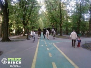 cu_caii_pe_pista_de_bicicleta
