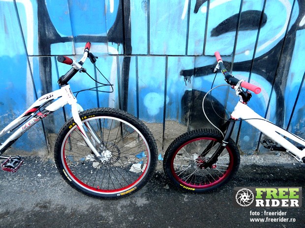 stock_sau_mod_21