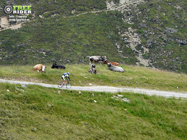 ktm_press_camp_2011_ziua_2_9