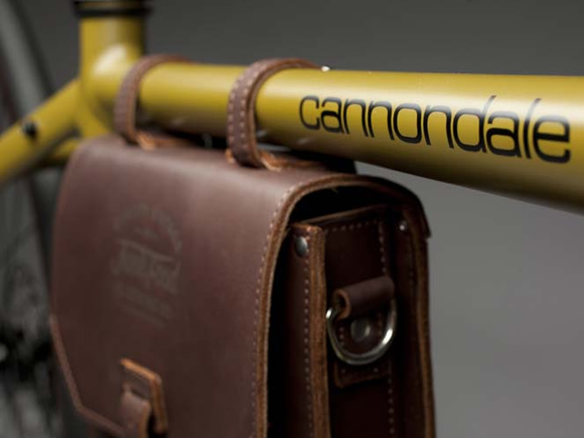 cannondale_bad_boy_junk_2