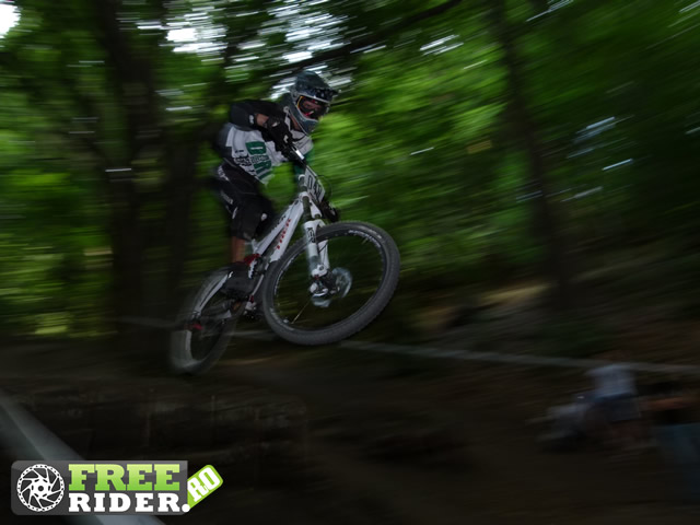9_tare_ca_piatra_2012