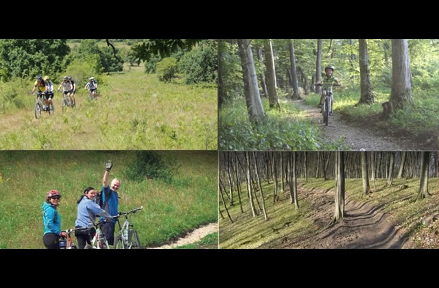 adept_transilvania1