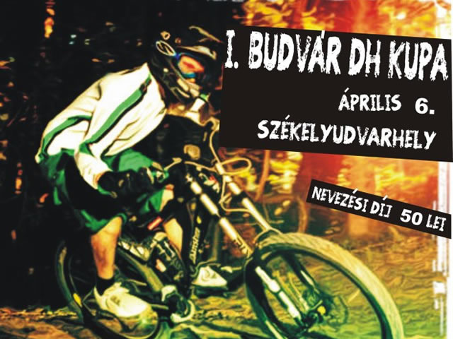 cupa_budvar1
