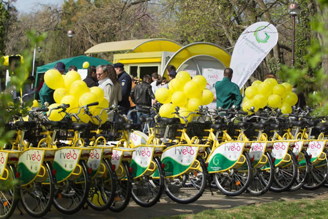 ivelo_timisoara