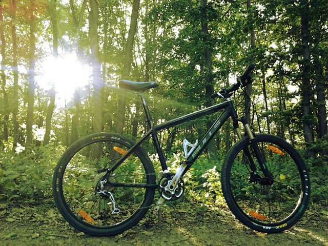 bulls_copperhead_3_disc_fr