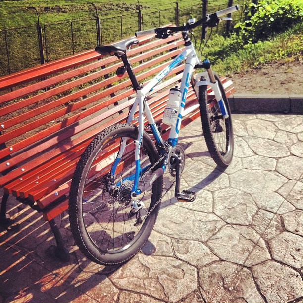 cube_ltd_race