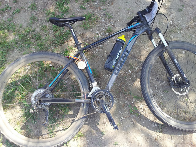 giant_talon_29er