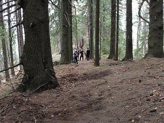 traseu_downhill_sinaia