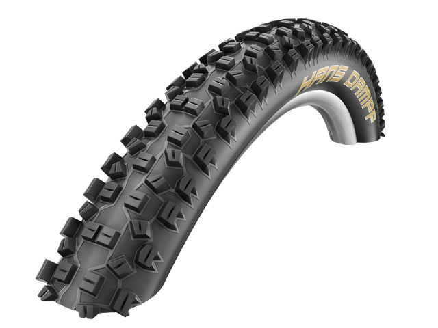 Schwalbe_Hans_Dampf