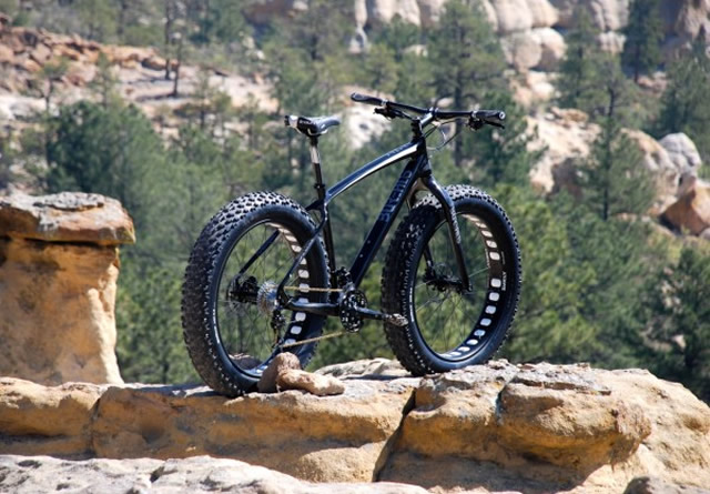borealis_yampa_1