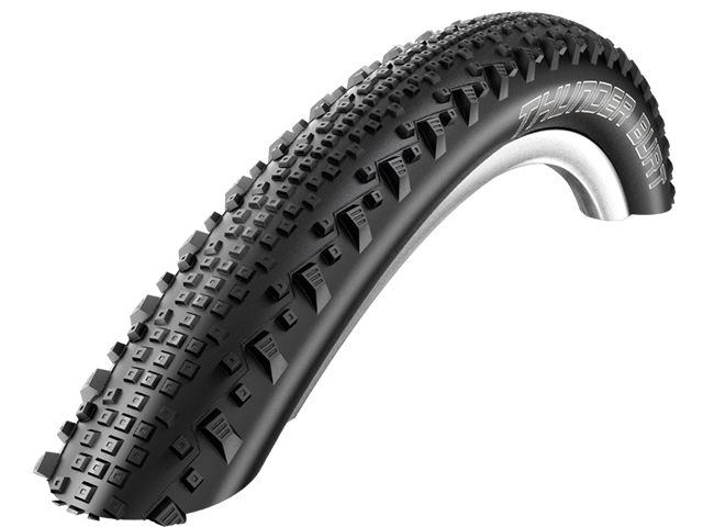 schwalbe_thunder_burt
