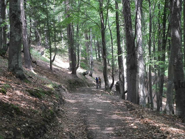 trofeul_muscelului_fr