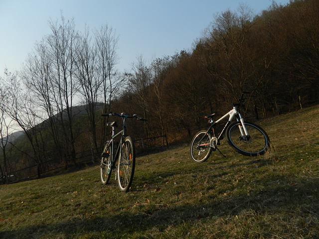 dhs_mountec_si_alpina_1