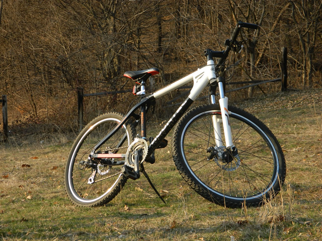 dhs_mountec_si_alpina_2