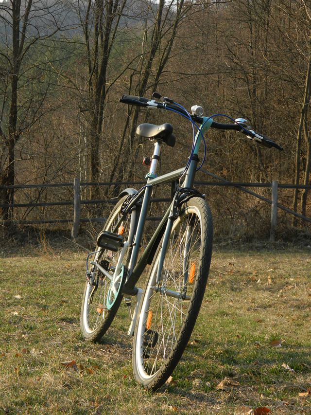 dhs_mountec_si_alpina_3