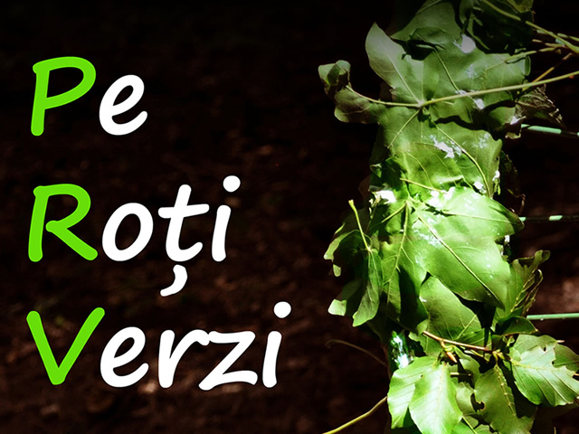 prv_2013