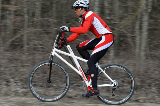 varibike_1