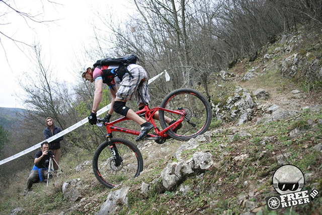 brunner_1