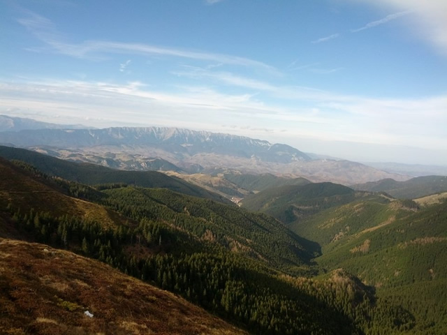 leaota_bucegi