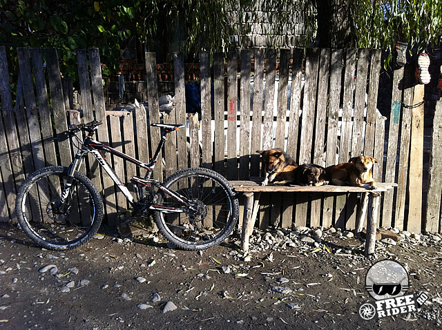 leresti_portareasa_11