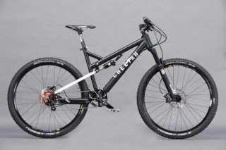 Cheetah_MountainSpirit29