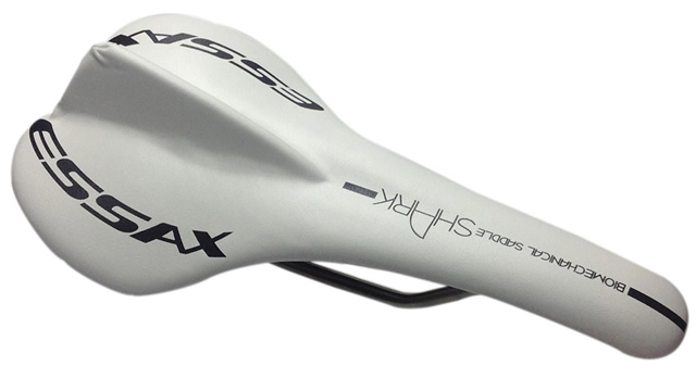 essax_shark