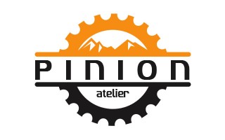 pinion