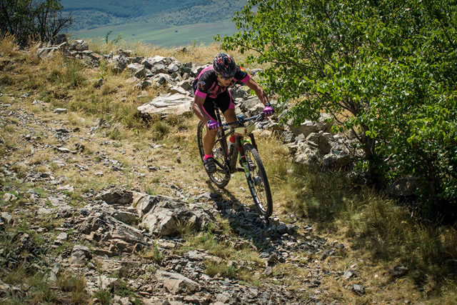 mtb
