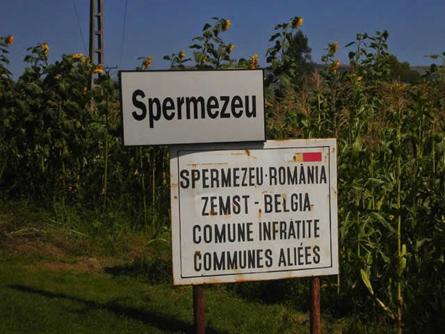 perde