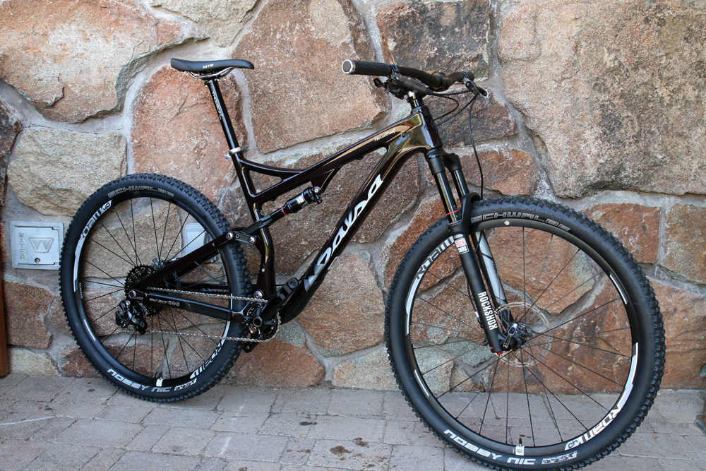 Salsa-Horsethief-carbon1