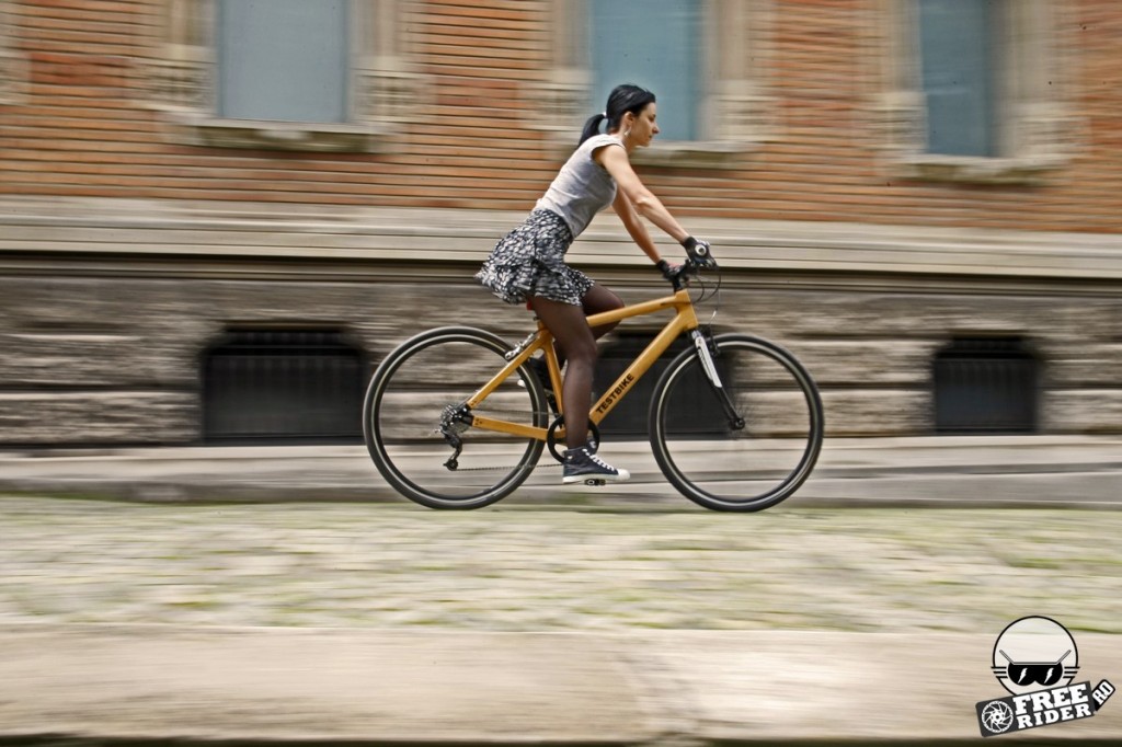 bicicleta_de_lemn_4