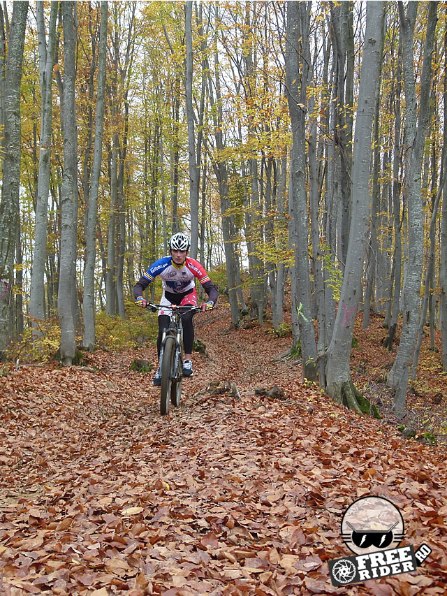 ciocanu-arges-1