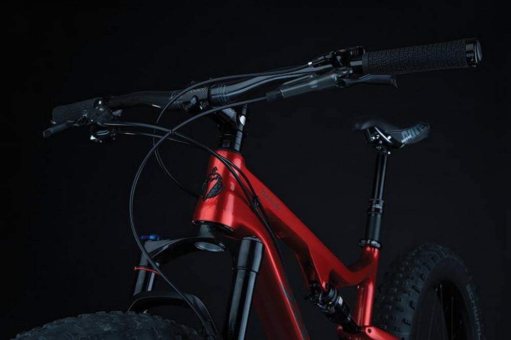 Salsa Bucksaw-Carbon-1
