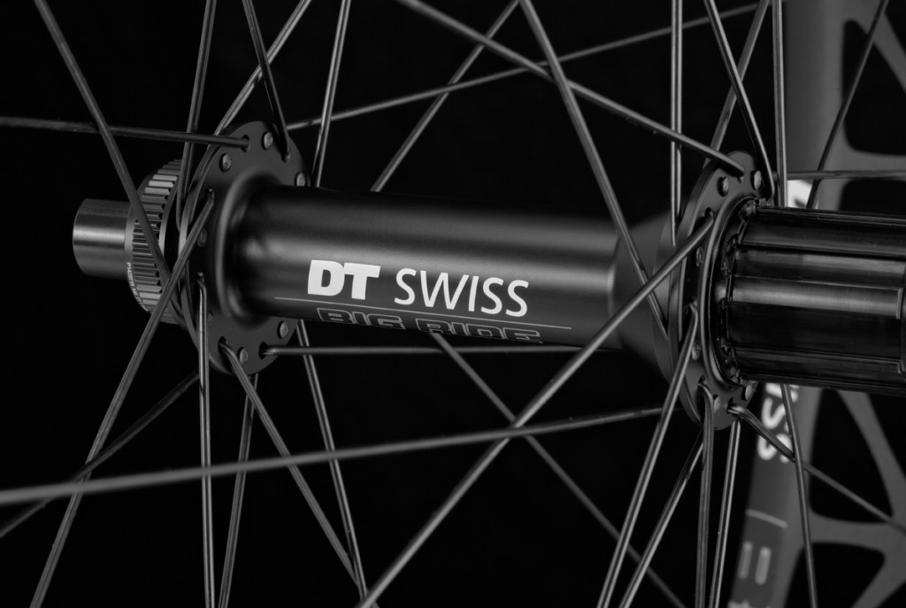 dt swiss Big Ride 2250 Classic fatbike 2