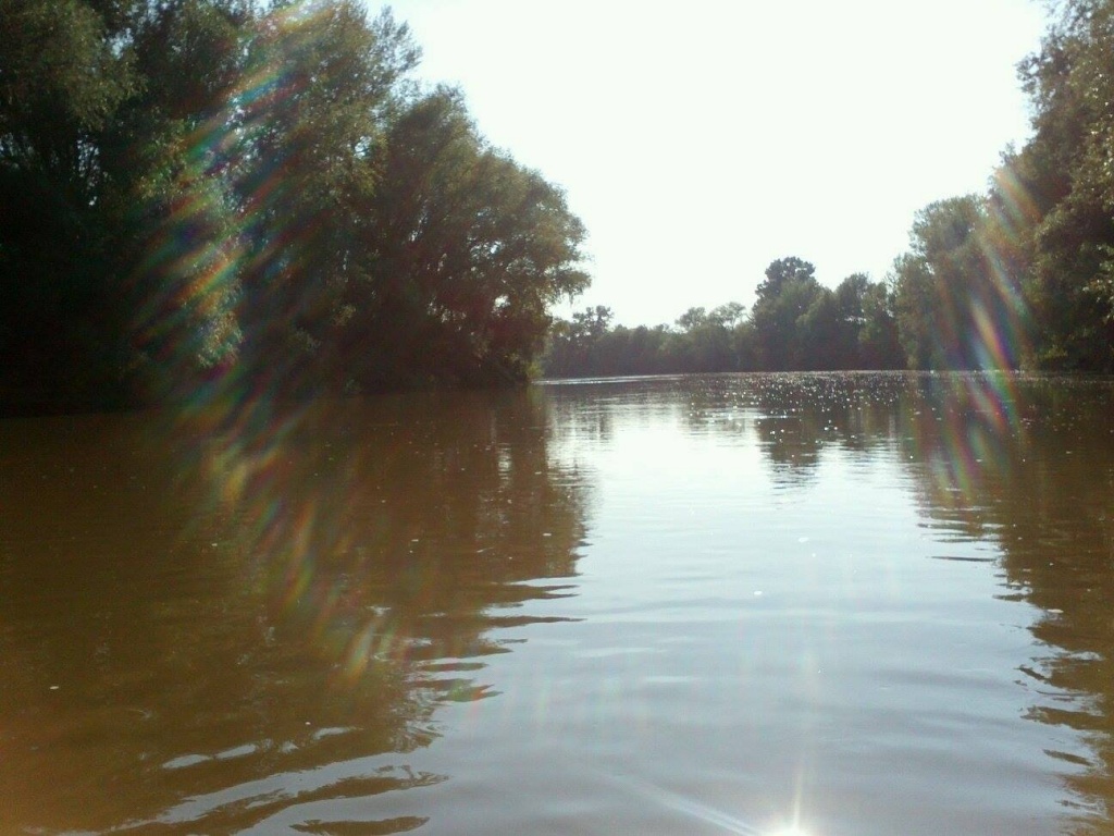 image020
