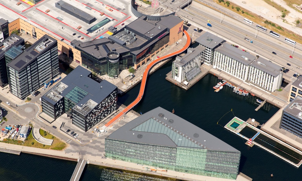 The Bicycle Snake pod velo Copenhaga 12