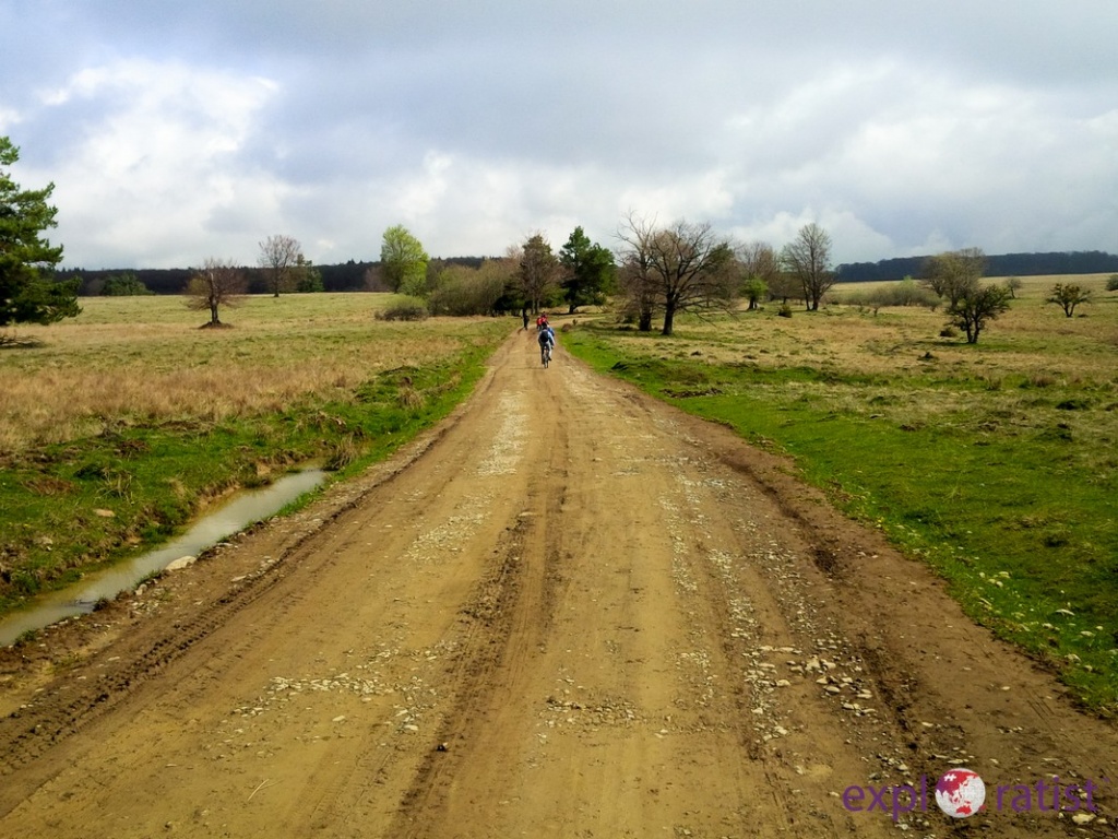 IMG_20150501_110324 LOGO