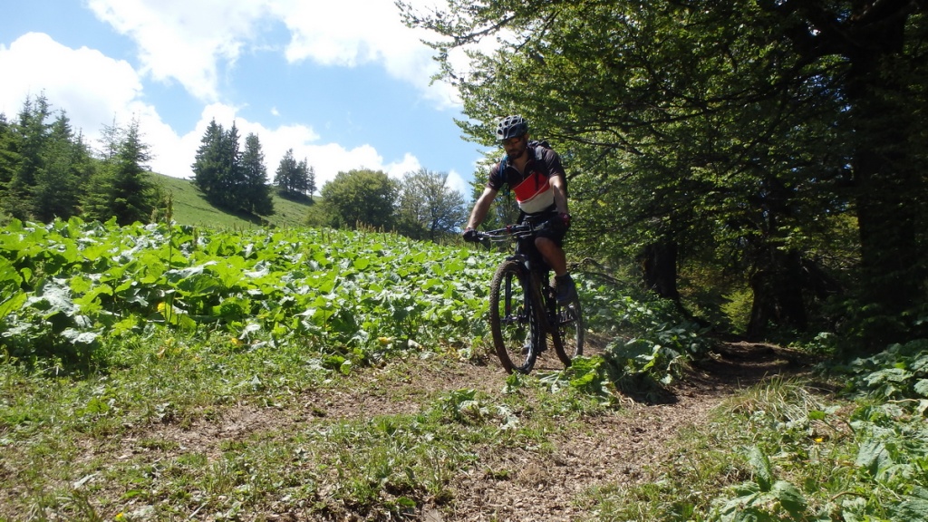 traseu biciclete cicloturism surmont mtb challenge 04