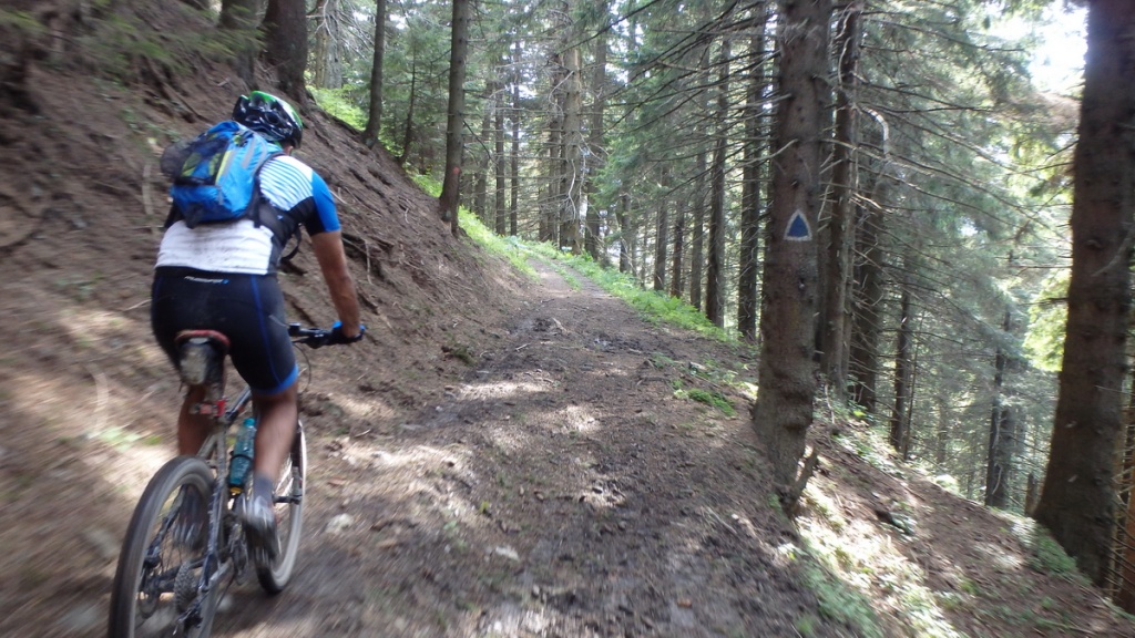 traseu biciclete cicloturism surmont mtb challenge 11
