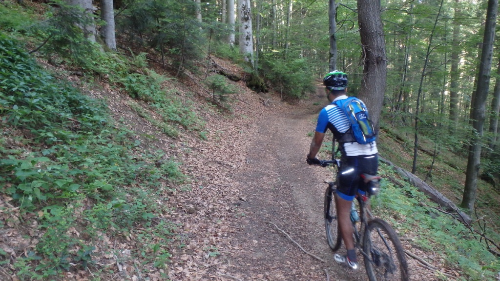 traseu biciclete cicloturism surmont mtb challenge 12