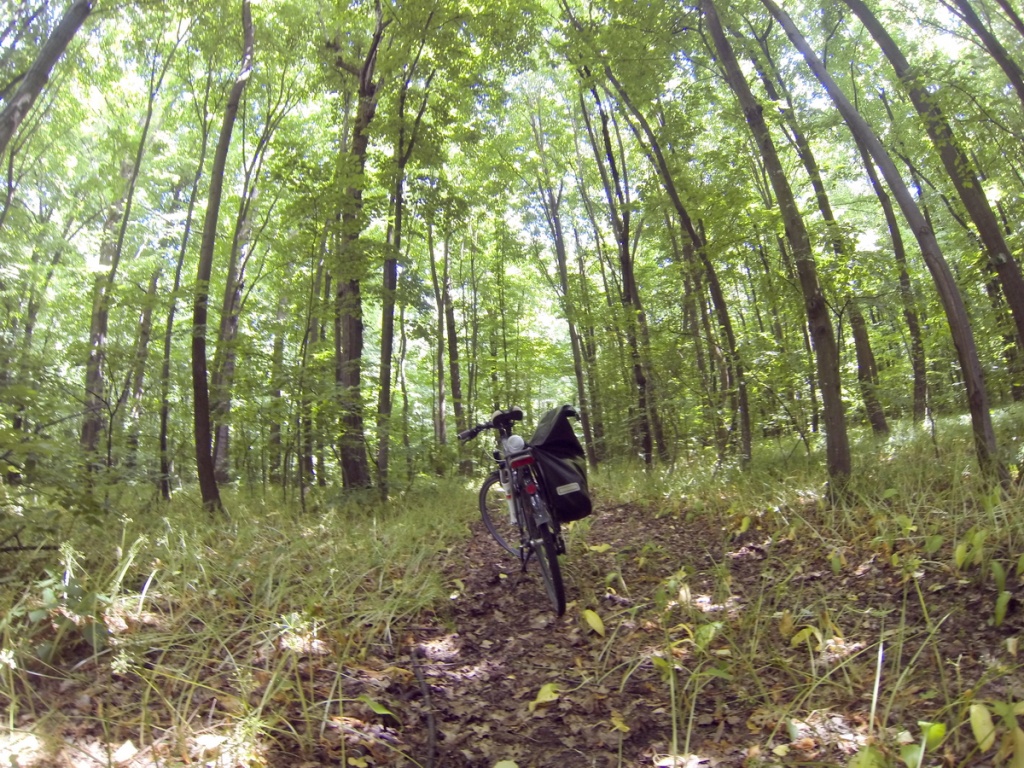 DCIM100GOPRO