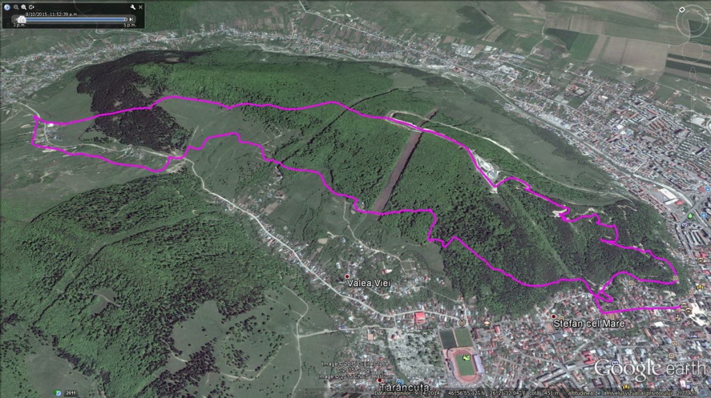 tare ca piatra 10 04