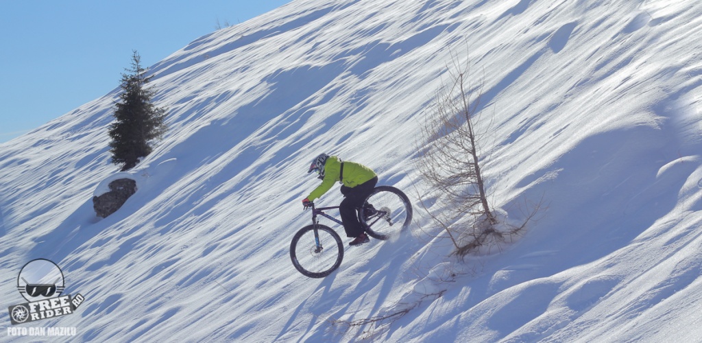 Sinaia 2015 trek fat bike & +size