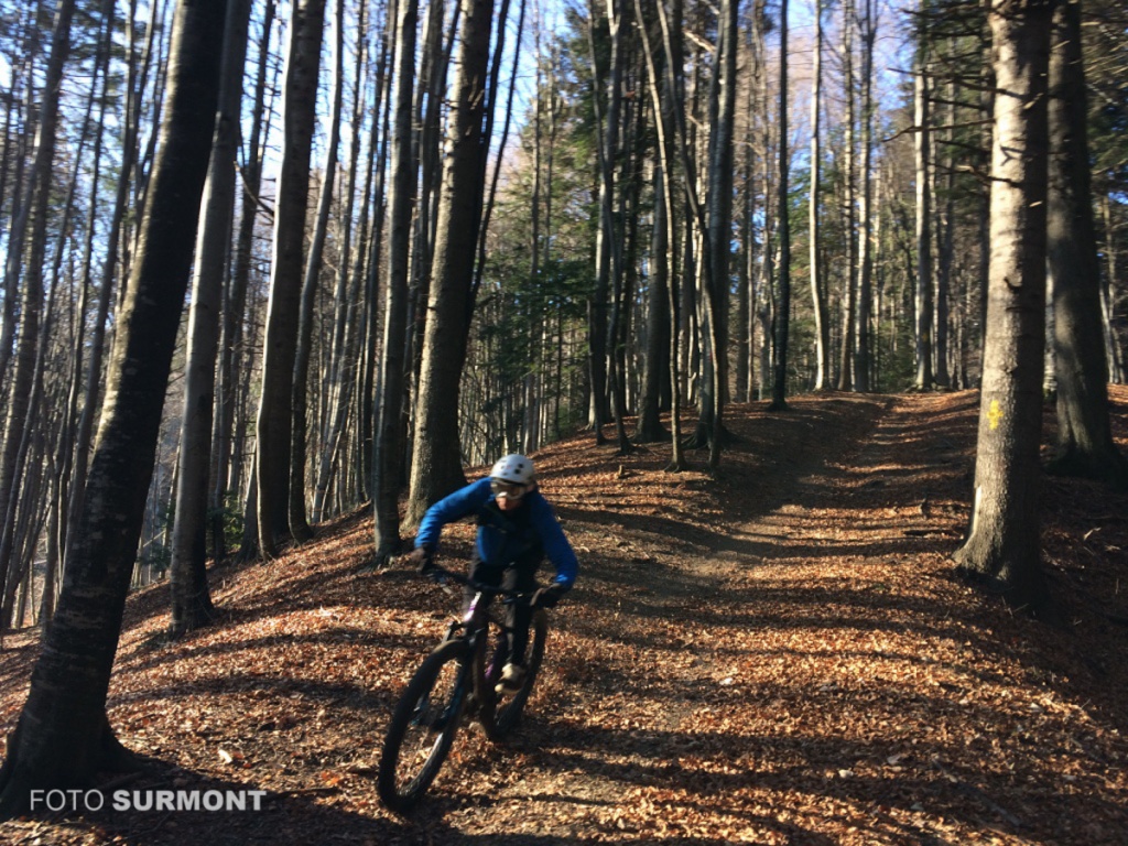 fat tire sinaia foto surmont 10