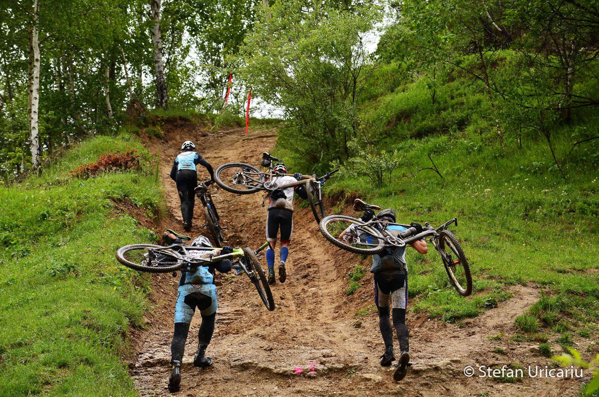 1015591_389507204491870_960543493_o