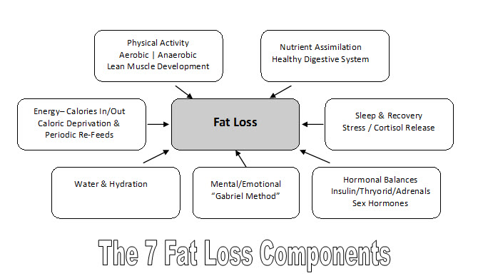 7FatLoss_Components